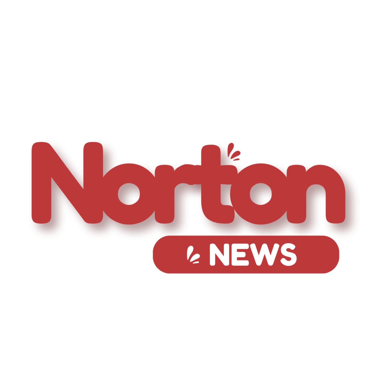 Norton News Logo